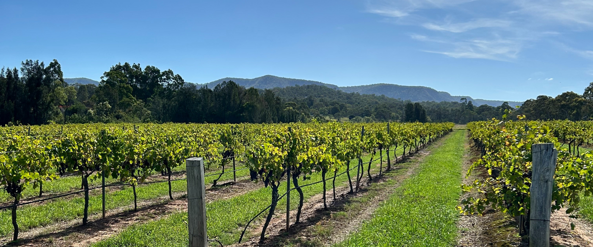 Hunter Valley